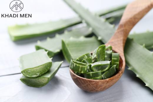 5 benefits of Aloe Vera Gel: Uses of Aloe Vera Gel
